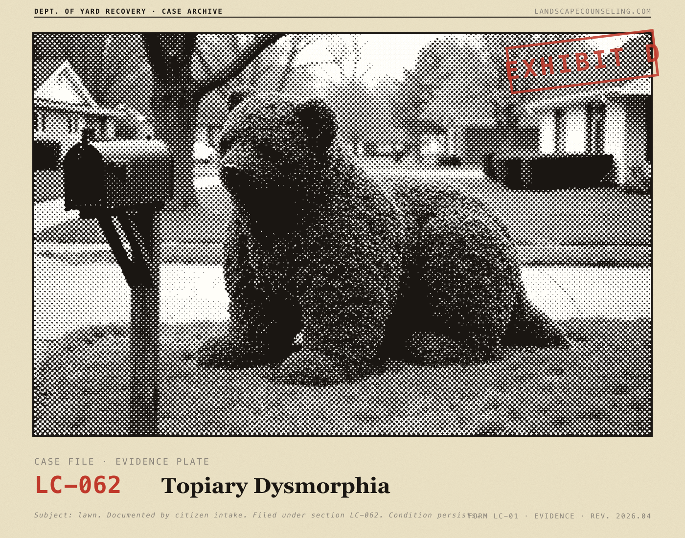 Evidence plate for Topiary Dysmorphia